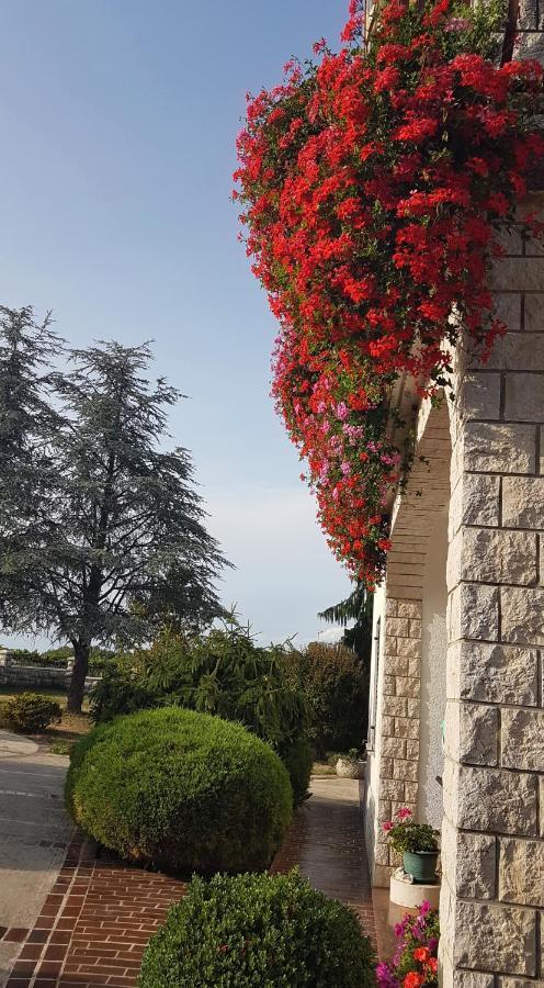 Holiday Apartment Villa Bianca بازين المظهر الخارجي الصورة